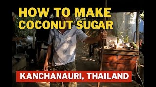 How Coconut Sugar is Made 🌴 – Traditional Thailand Process Traditionally Processed Coconut Sugar
