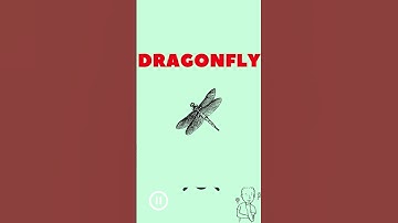 Guess the Compound Word Video ESL Game.