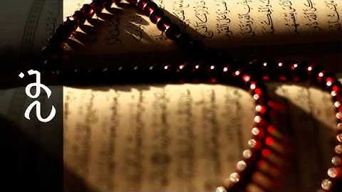سورة نوح صلاح البدير - Surah Nooh Salah Albudair