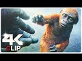 Suko Bites Kong Scene | GODZILLA X KONG THE NEW EMPIRE (NEW 2024) Movie CLIP 4K