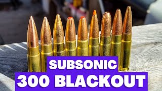 300 Blackout  Ultimate Subsonic Ammo Test!!!