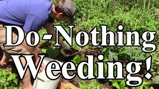 Toward a Do-Nothing Gardening, pt. 4: Organic Weed Control (Lazy Gardening)