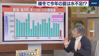 暖冬で今年の夏は水不足!?