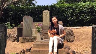 マヨのアーユルヴェーダモーニング