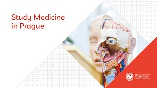 Study Medicine in Prague