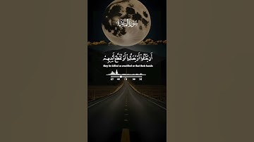 #روائع_الشيخ_سيد_سعيد #سورة_المائدة #قرآن_كريم #قرآن #المصحف