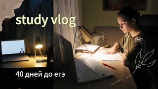 study vlog / полтора месяца до ЕГЭ 2024 / биология, общество