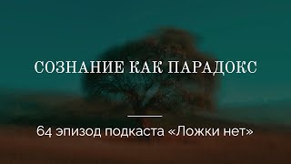 64. Сознание как парадокс