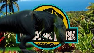 Tyrannosaurus rex round and round like a record anMATION  1080p  s01r01