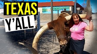 Tips for Visiting Texas Hill Country