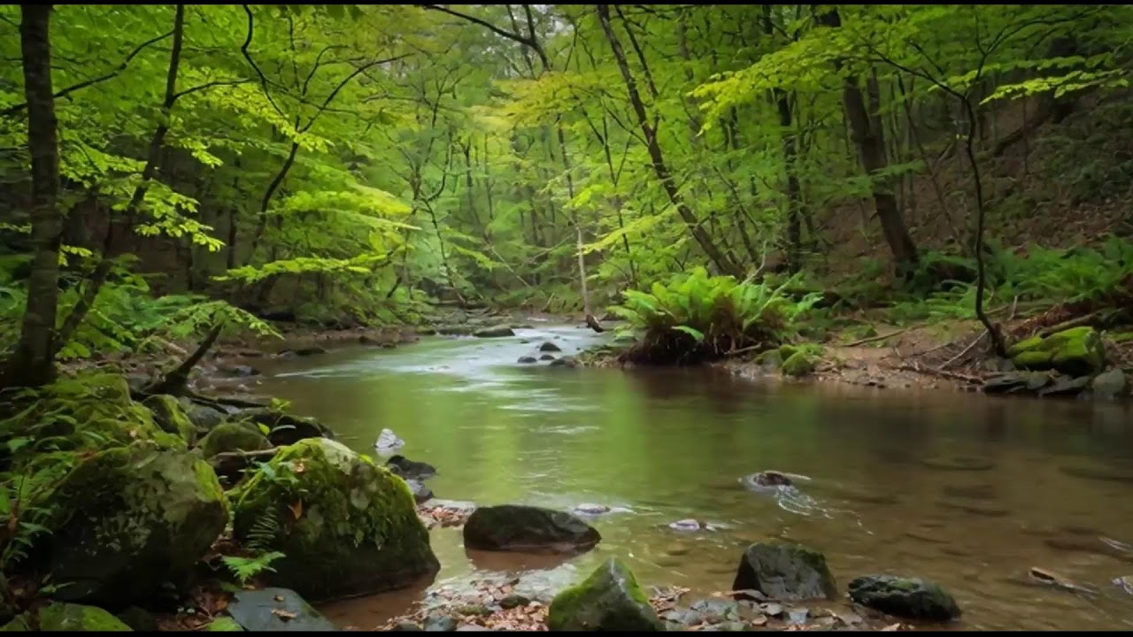 INSTANT PEACE: 8 Hours of Music That Melts Away Stress & Anxiety | Deep Sleep Aid & Focus