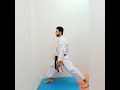 اوضاع الكاراتيه 