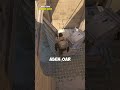 O Boost de Caixa Mais Trapaceiro no CS2 Dust 2 #shorts