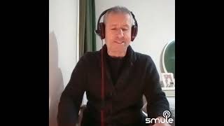 Zeytin Yaprağı Yeşil