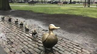 A tour of Boston Massachusetts Timelapse