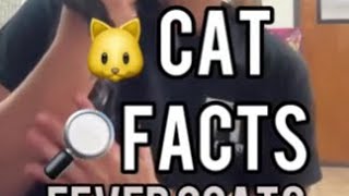 Neat Cat Facts ~ Fever Coats