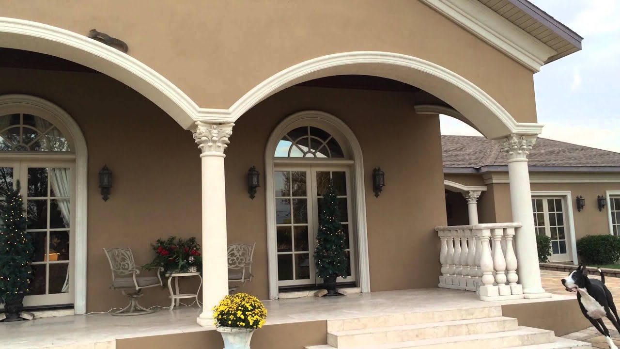 Katie the Great Dane barking & bouncing after squirrel