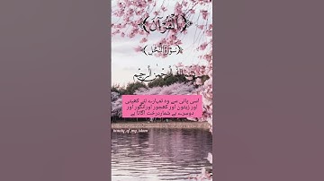 سورة النحل #islamicvideostatus #urdu #islmaicvidoes #quran #explore #quranicvibes