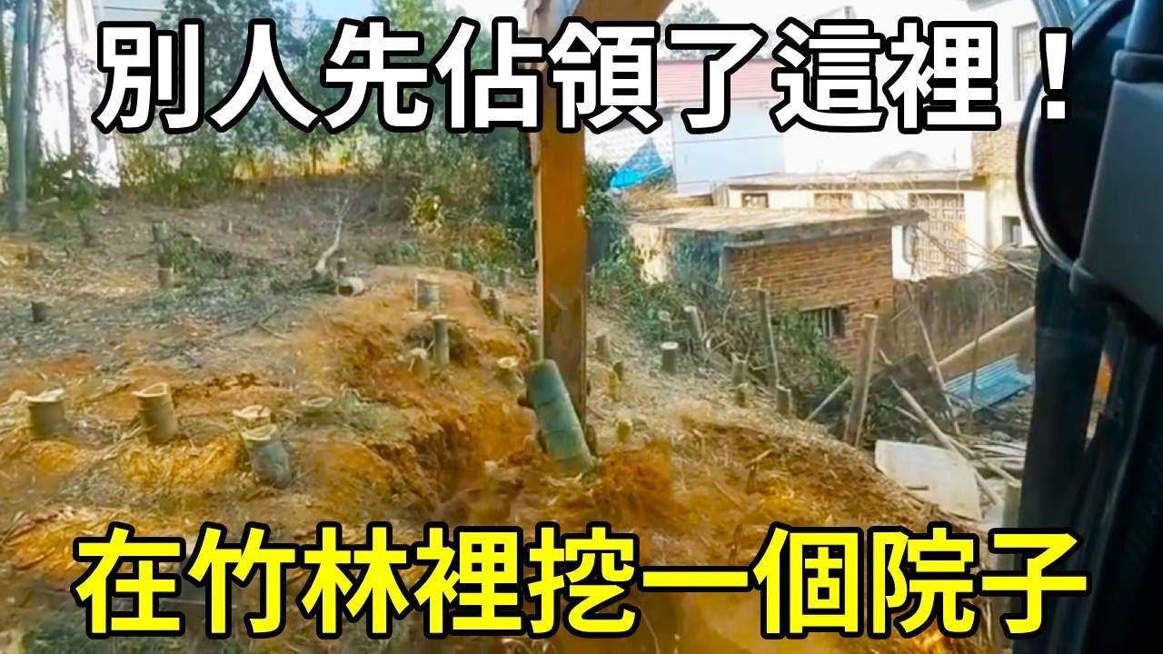 在竹林裡挖一個坪做院子，沒想到別人先佔領了這裡，這下怎麼辦？ 【陳師傅開挖機】