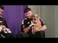 We Interviewed the All Blacks... With Puppies