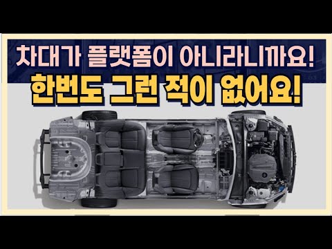 &amp;quot;차대가 플랫폼이 아니라니까요!&amp;quot; 한번도 그런 적이 없어요!