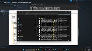 Black Ops 6 randgris.sys error fix
