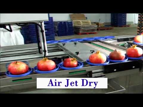 Pomegrantes Sorting Machine