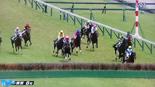 東京8レース第25回東京ジャンプステークス(J・GⅢ) ジューンベロシティ