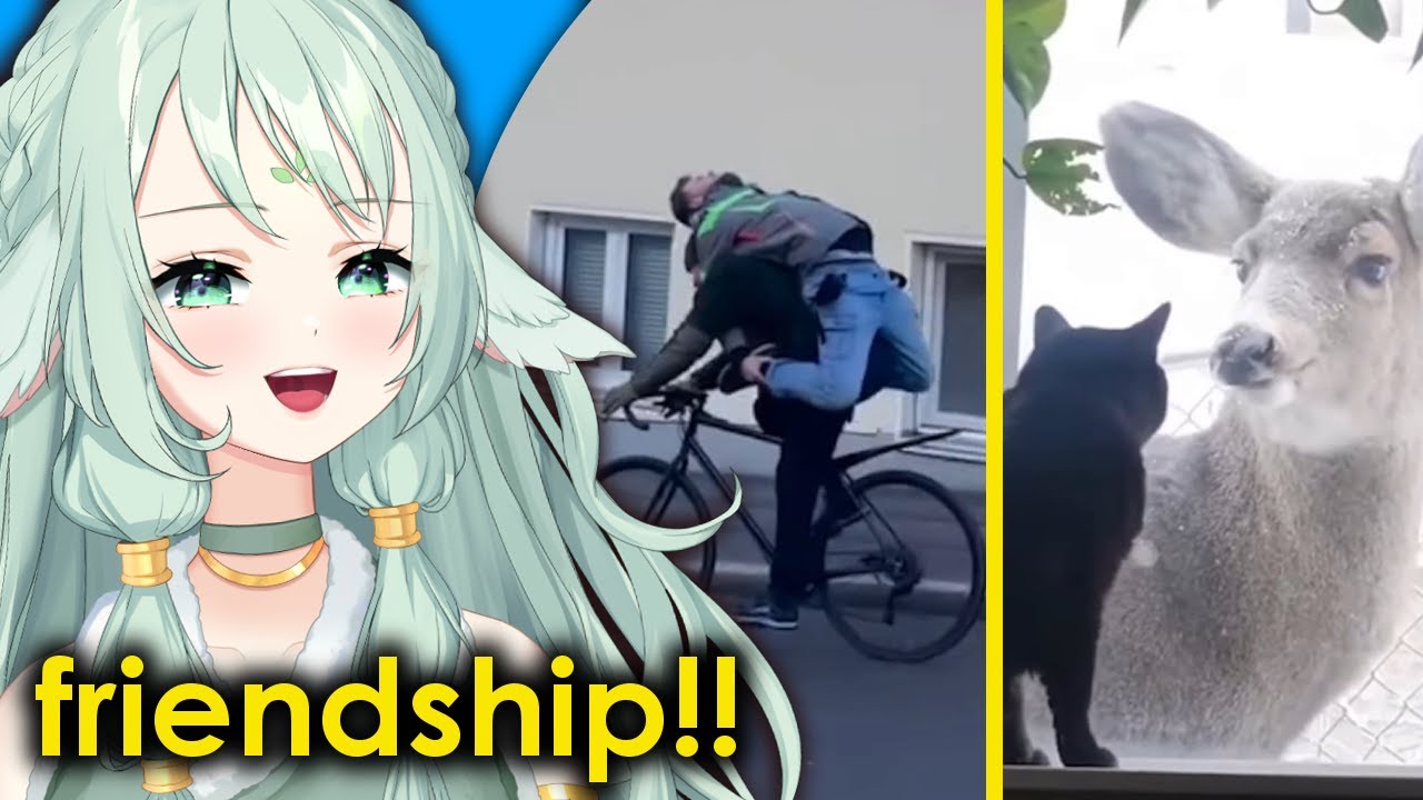 People And Animals Being Silly | UNUSUAL MEMES v301 React