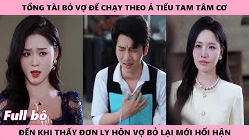 Hối Hận, Tổng Tài Bỏ Vợ Để Chạy Theo Ả Tiểu Tam Tâm Cơ Đến Khi Thấy Đơn Ly Hôn Vợ Bỏ Lại Mới Tiếc