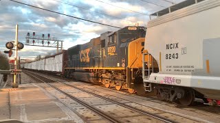 Train Knocks Down The Signal, 2 Mile Long Trains W/DPUs & Loram Rail Grinder, CSX & Norfolk Southern