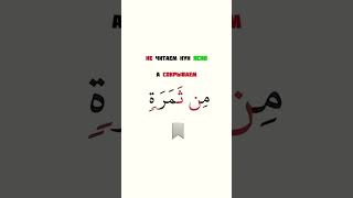 правило сукунированного нуна и танвина: их1фаъ #коран #религияислам #напоминание #таджвид#shorts