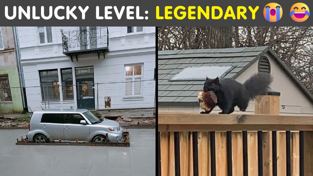 Unluckiest People Ever 😂 So Bad They Just Had to Take a Photo!