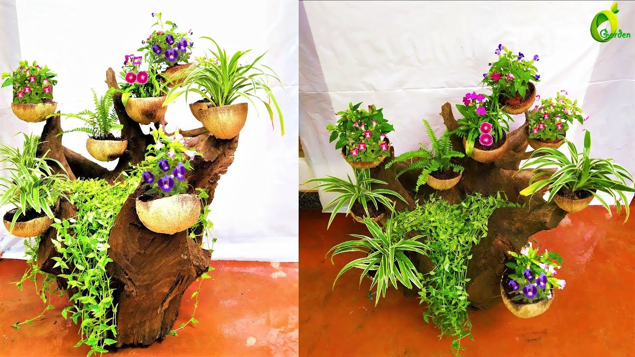 coconut shell planter idea cheap best garden decoration organ crafts planters pendant light bamboo