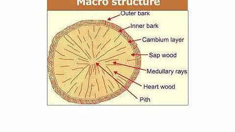 OVERSEER & AE VIDEO 6_TIMBER part 1