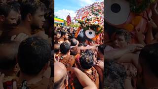 Jagannath Rath Yatra Story #shorts #rathyatra2023 #jagannath #hindu