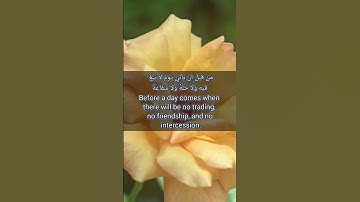 قرآن الكريم سورة البقرة الآية 153#قران_كريم_ارح_سمعك_وقلبك #kuran_kerim_videoları #انقذوا_غزة