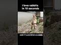 You’ll Love Rabbits in 10 Seconds (Part 2) 🐰💛