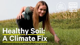 Can Regenerative Agriculture Reverse Climate Change? | One Small Step