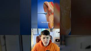 How Do Ear Spoons Work? 😳 ASMR Satisfying #shorts
