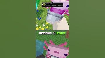 NEW Minecraft Animations: Actions & Stuff 1.4 (Bedrock) vs. Fresh Animations & HMI 4.4 (Java)