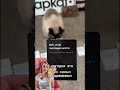 Cards against humanity. #историябренда #игра #бизнес #успех #жизнь #настолка