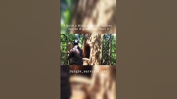 I built a Hidden Forest Shelter Inside A giant Tree Part 3#nature#survival#jungle#shortsfeed#shorts