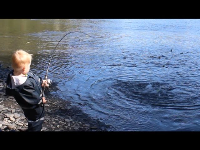 2 year old catches a salmon on his own -LIKE A BOSS! 