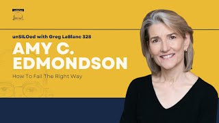 328. How To Fail The Right Way feat. Amy Edmondson