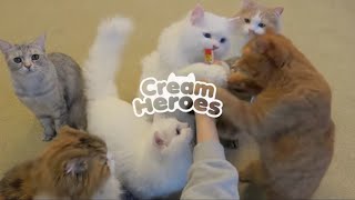 CREAMHEROES INTRO (Part. 1) | COMPILATION