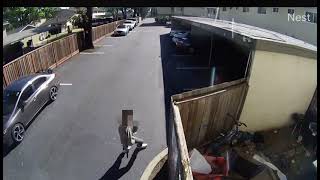 🚨🔫 San Jose Juvenile Arrested for Attempted Murder who is he ?