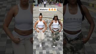 Malume  New Amapiano Sound amapianovibes amapianodancechallenge amapianodance