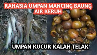 MANCING IKAN BAUNG DENGAN UMPAN KEONG DI SUNGAI