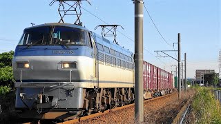 今日の貨物列車　東海道本線5052レ 福岡タ～東京タ　EF66牽引でイオン花王積載の懐かしい映像です♪
